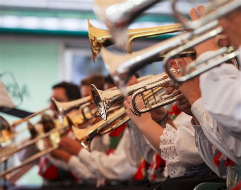 What is Banda Music? A Symphony of Brass and Tradition