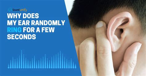 Why Do I Hear Music in My Ears: An Exploration of Auditory Perceptions